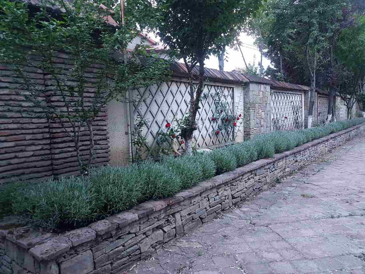 Rare House With Garden Villa Tbiliszi Kültér fotó